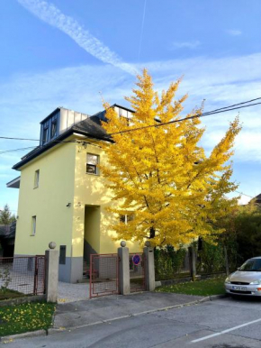 Sunny Villa Apartments
